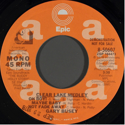 Gary Busey Clear Lake Medley Vinyl 7" USED
