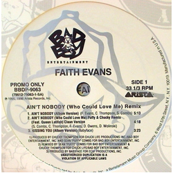 Faith Evans Ain't Nobody (Who Could Love Me) (Remix) Vinyl 12" USED