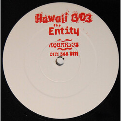 The Entity (2) Hawaii 303 USED VINYL 12INCH 45 RPM 33 S RPM WHITE LABEL