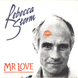 Rebecca Storm Mr Love Vinyl 7" USED