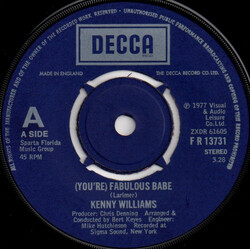 Ken Williams (You're) Fabulous Babe USED VINYL 7INCH 45 RPM