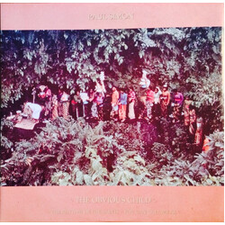Paul Simon The Obvious Child Vinyl 12" USED