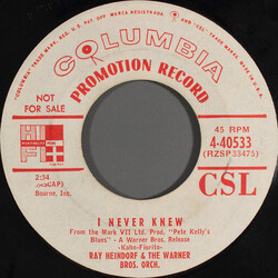 Ray Heindorf / The Warner Bros. Studio Orchestra I Never Knew USED VINYL 7INCH 45 RPM PROMO