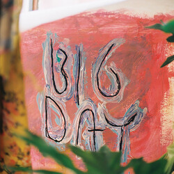 Loose Tooth Big Day Vinyl LP USED