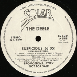 The Deele Suspicious Vinyl 12" USED