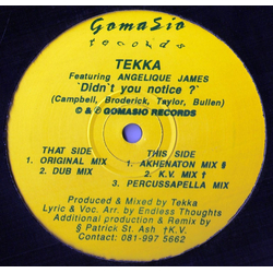 Tekka / Angelique James Didn't You Notice ? Vinyl 12" USED