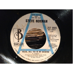 Steve Norman (10) Mister, Will You Be My Valentine Vinyl 7" USED