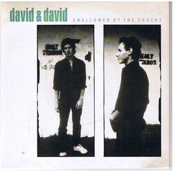 David + David Swallowed By The Cracks Vinyl 7" USED