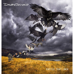 David Gilmour Rattle That Lock Vinyl LP USED