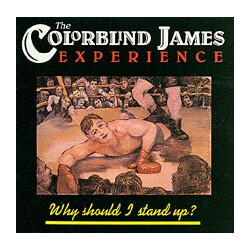 The Colorblind James Experience Why Should I Stand Up? Vinyl LP USED