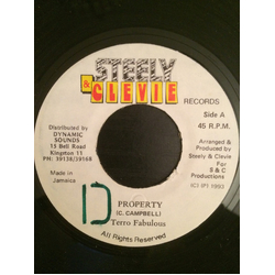 Terror Fabulous Property Vinyl 7" USED