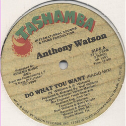 Anthony Watson (2) Do What You Want USED VINYL 12INCH 33 S RPM SINGLE