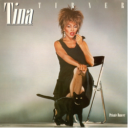 Tina Turner Private Dancer Vinyl LP USED