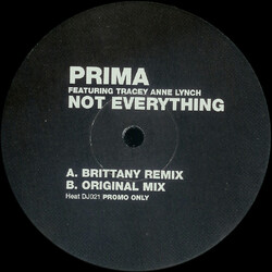 Prima / Tracy Anne Lynch Not Everything USED VINYL 12INCH 33 S RPM PROMO