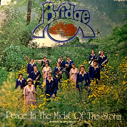 Bridge (16) Peace In The Midst Of The Storm Vinyl LP USED