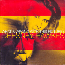 Chesney Hawkes What's Wrong With This Picture? USED VINYL 7INCH 45 RPM STEREO
