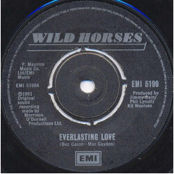 Wild Horses Everlasting Love USED VINYL 7INCH SINGLE