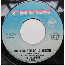 The Radiants Anything You Do Is Alright Vinyl 7" USED
