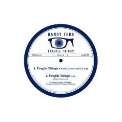 Dandy Teru Fragile Things 12"inch USED VINYL 12INCH 45 RPM
