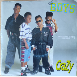 The Boys Crazy Vinyl 7" USED