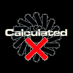 Calculated X Four Windows Vinyl 12" USED