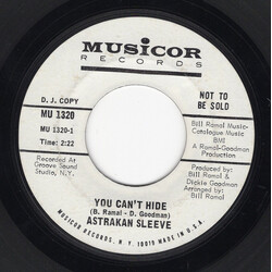 Astrakan Sleeve You Can't Hide / Love Is Everywhere USED VINYL 7INCH 45 RPM PROMO