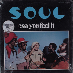 S.O.U.L. Can You Feel It Vinyl LP USED