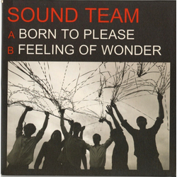 Sound Team Born To Please Vinyl 7" USED