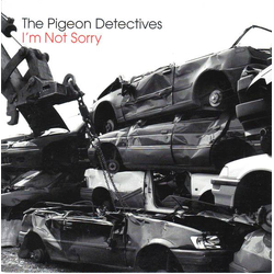 The Pigeon Detectives I'm Not Sorry Vinyl 7" USED
