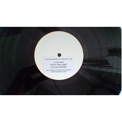 Thirteen Senses Into The Fire USED VINYL 12INCH SINGLE SIDED WHITE LABEL