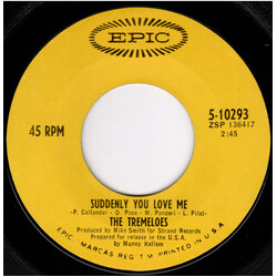 The Tremeloes Suddenly You Love Me USED VINYL 7INCH 45 RPM SINGLE STYRENE