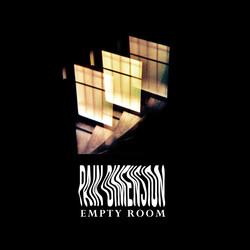 Pain Dimension Empty Room Vinyl LP USED