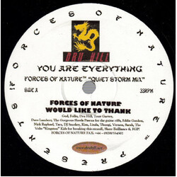 Dru Hill You Are Everything USED VINYL 12INCH 33 S RPM MISPRINT