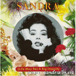 Sandra (Life May Be) A Big Insanity USED VINYL 7INCH SINGLE 45 RPM