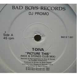 Technodiva Picture This USED VINYL 12INCH 45 RPM PROMO