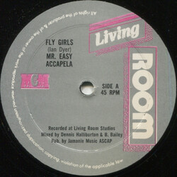 Mr. Easy / Rupie Culture Fly Girls / Mary Longtongue USED VINYL 12INCH 45 RPM