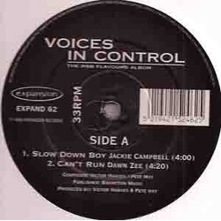 Voices In Control The R&B Flavours Album USED VINYL 12INCH 33 S RPM