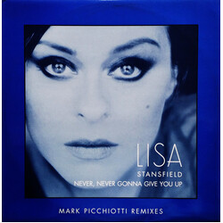 Lisa Stansfield Never, Never Gonna Give You Up (Mark Picchiotti Remixes) USED VINYL 12INCH 45 RPM PROMO