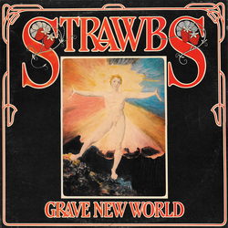 Strawbs Grave New World Vinyl LP USED