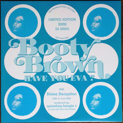 Bootie Brown Have You Eva? / Divine Deception Vinyl 12" USED