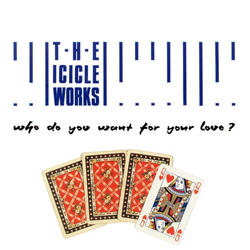 The Icicle Works Who Do You Want For Your Love? Vinyl 7" USED