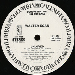 Walter Egan Unloved USED VINYL 12INCH 33 S RPM PROMO