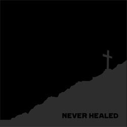 Never Healed Never Healed USED VINYL 7INCH