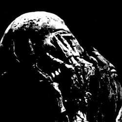 The Communion / Compound Terror The Communion / Compound Terror USED VINYL 7INCH