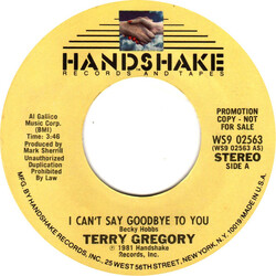 Terry Gregory I Can't Say Goodbye To You USED VINYL 7INCH 45 RPM PROMO