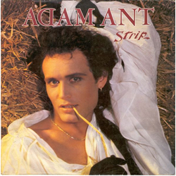 Adam Ant Strip Vinyl LP USED