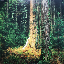 Ken Muramatsu 夏のぽけっとに VINYL LP