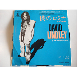 David Lindley She Took Off My Romeos VINYL 7" - 45 RPM Promo Single Stereo