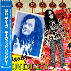 David Lindley Mr. Dave VINYL LP