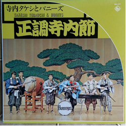 Takeshi Terauchi And The Bunnys 正調寺内節 VINYL LP - Reissue Stereo